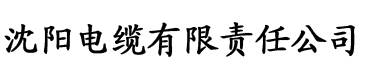 污污在线观看网址入口电缆厂logo